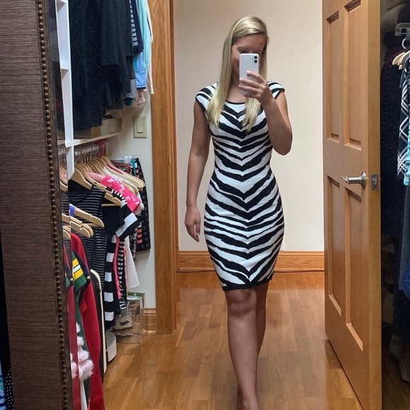 Express Tank Style Sweater Dress Zebra Print - XS - Picture 3 of 5